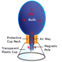 https://www.chinesecupping.com/Diagram.jpg